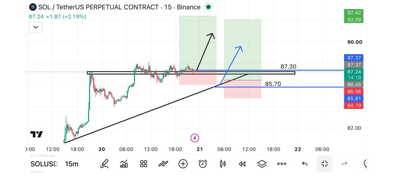 SOLUSDT LONG signal screenshot by Fat pig signalso