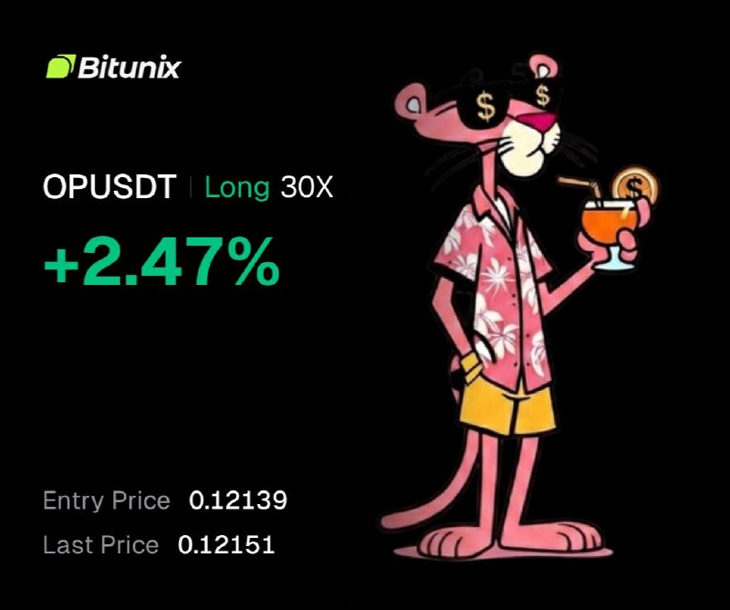 اسکرین‌شات سیگنال OPUSDT LONG از ANNA TRADE