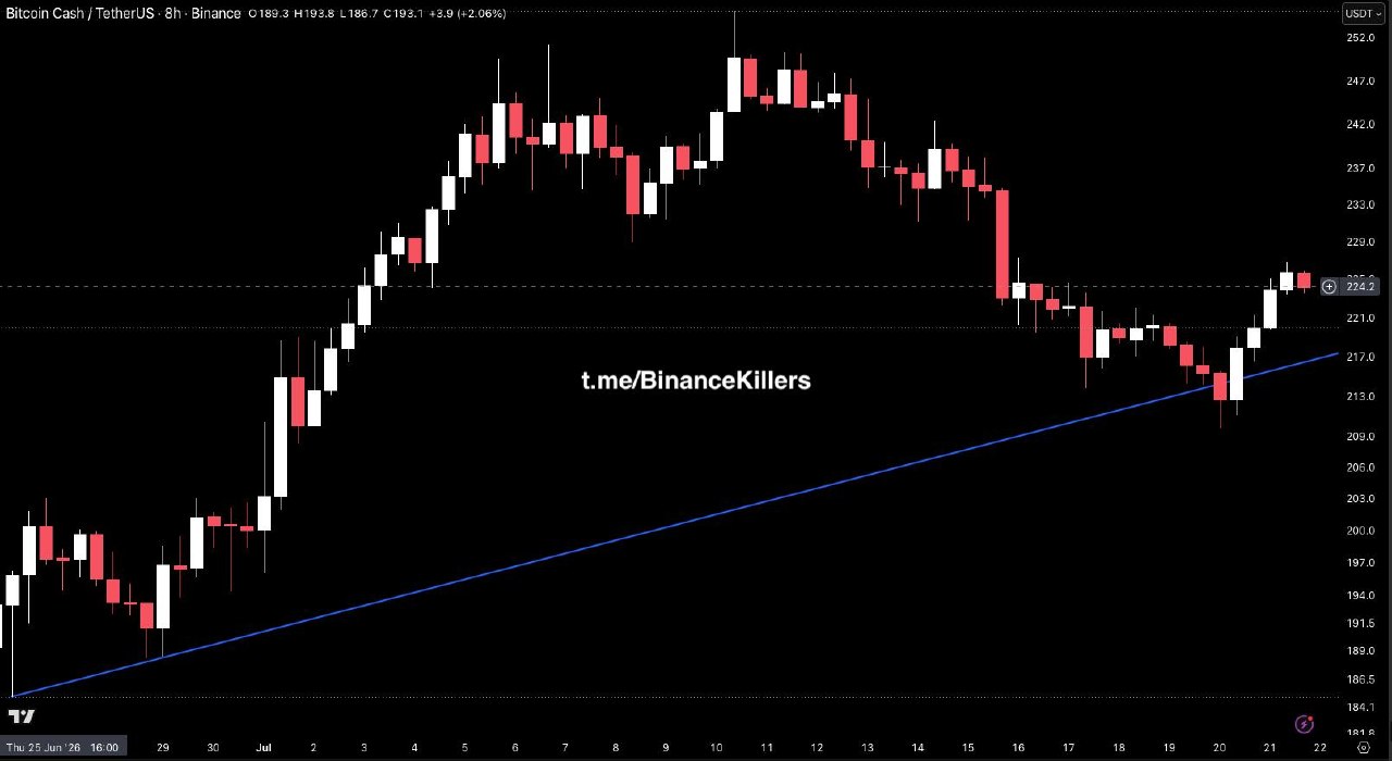 اسکرین‌شات سیگنال BCHUSDT LONG از Binance Killers