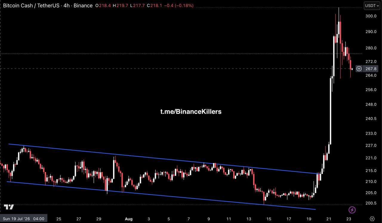 BCHUSDT LONG signal screenshot by Binance Killers