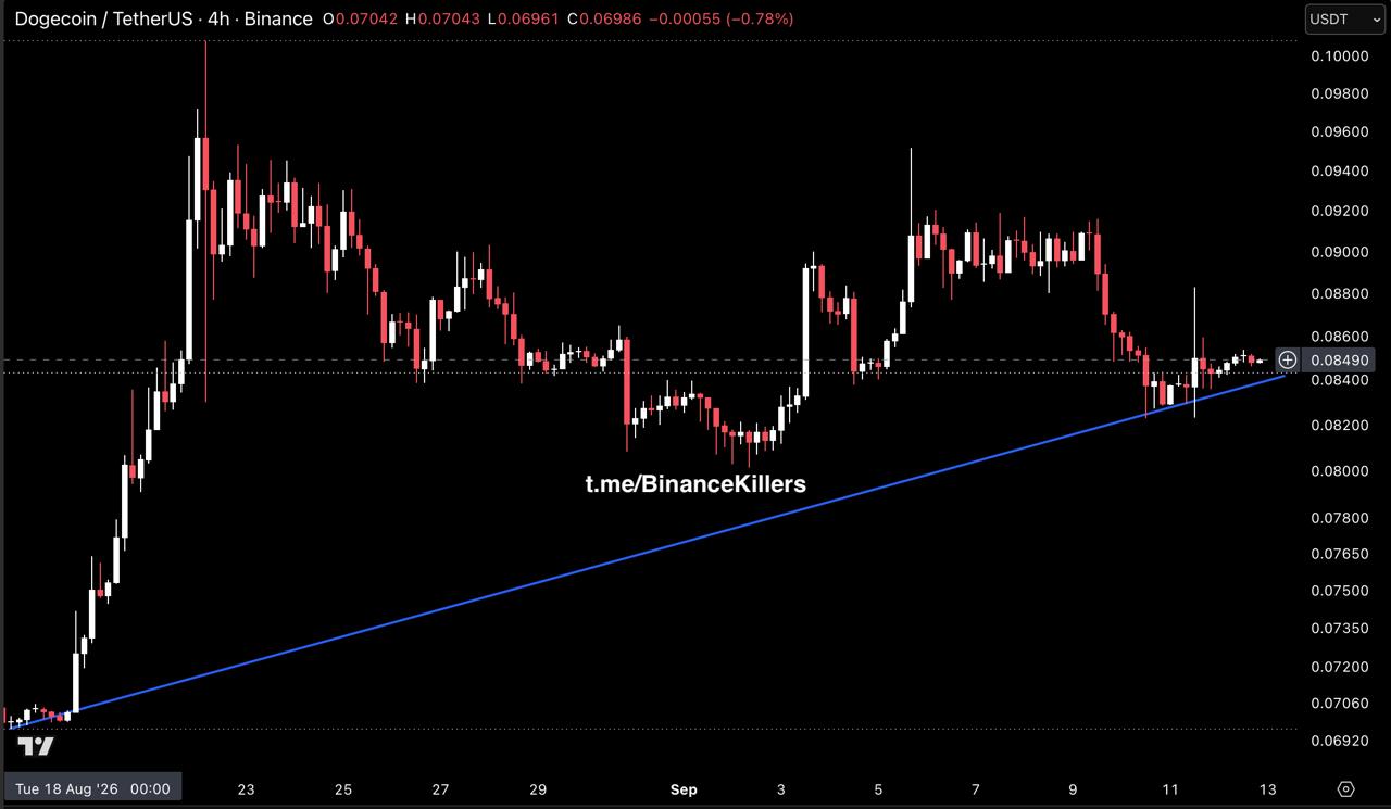 DOGEUSDT — نمودار از پست اصلی Binance Killers