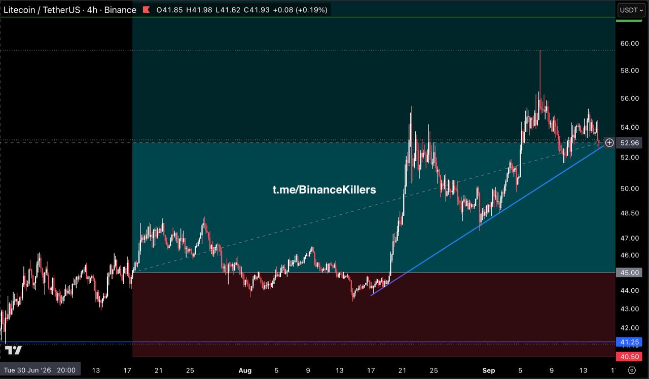 LTCUSDT LONG signal screenshot by Binance Killers