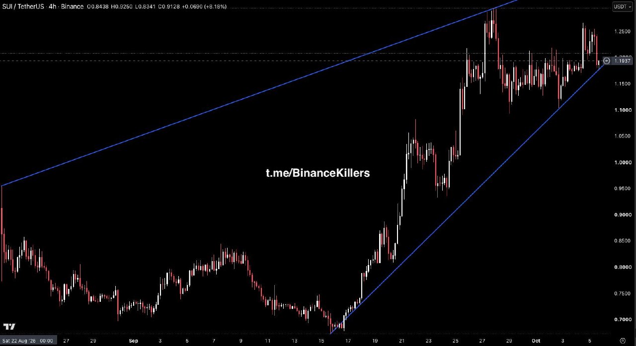 SUIUSDT — chart from the original post by Binance Killers