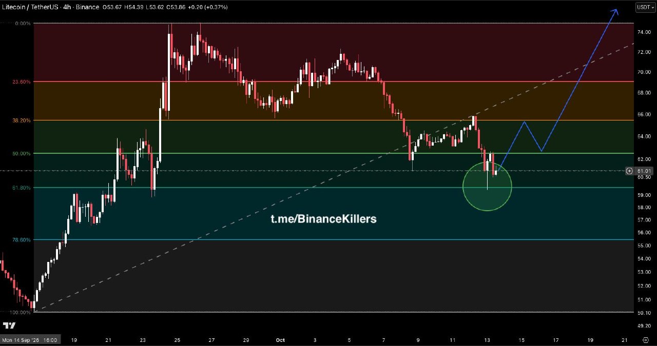 LTCUSDT LONG signal screenshot by Binance Killers