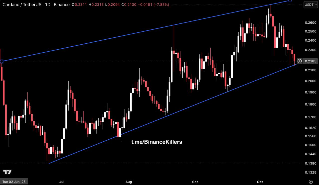 ADAUSDT — chart from the original post by Binance Killers