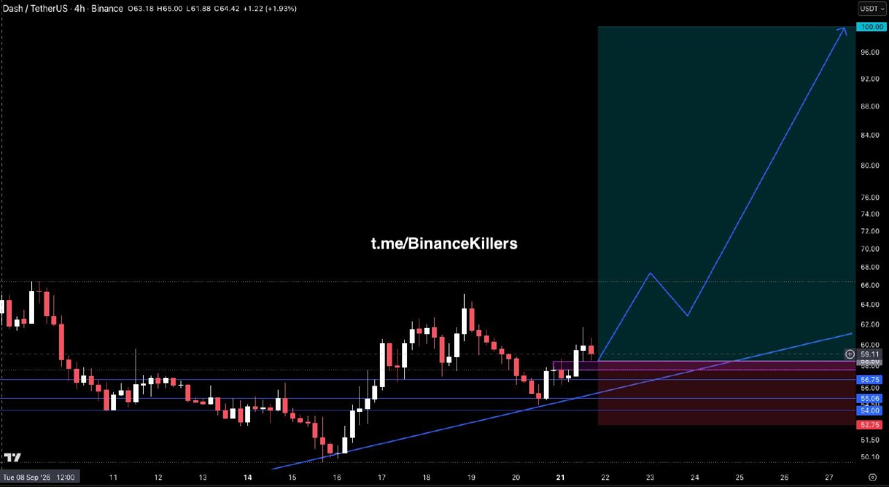 Скриншот сигнала DASHUSDT LONG от Binance Killers Vip Channel