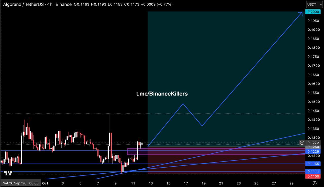 ALGOUSDT LONG signal screenshot by Binance Killers Vip Channel