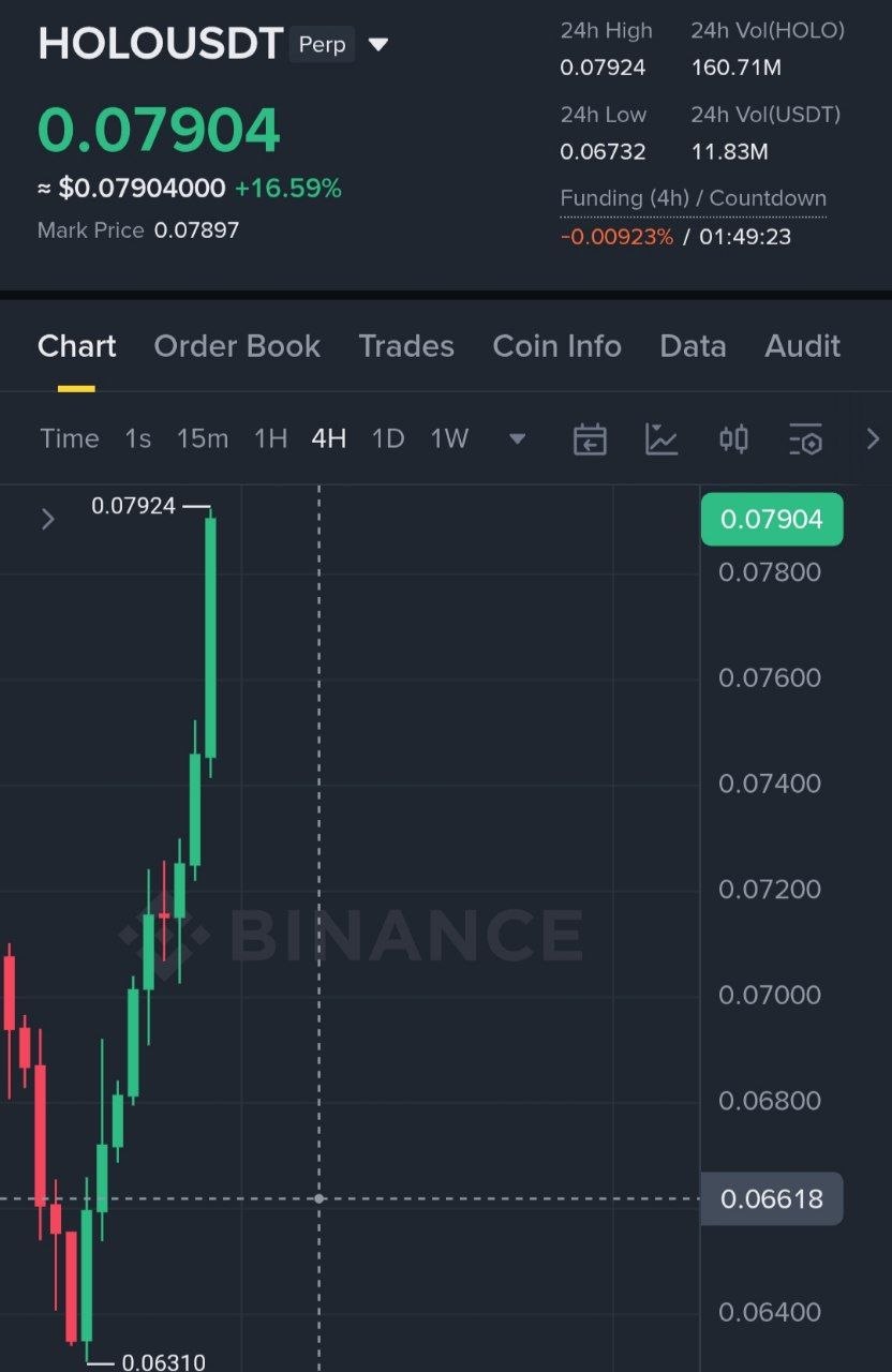 اسکرین‌شات سیگنال HOLOUSDT LONG از Binance Spot & FutuRes Signals 🐋