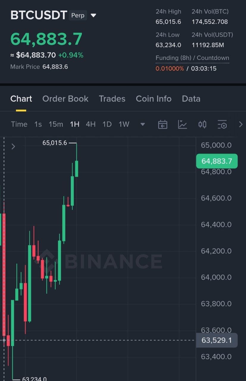 اسکرین‌شات سیگنال BTCUSDT LONG از Binance Spot & FutuRes Signals 🐋