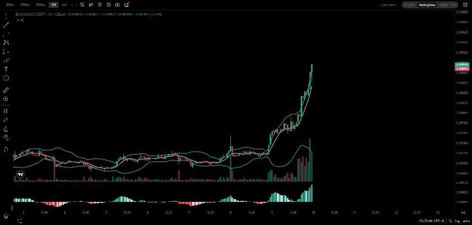 اسکرین‌شات سیگنال BANANAS31USDT LONG از Binance Spot & FutuRes Signals 🐋