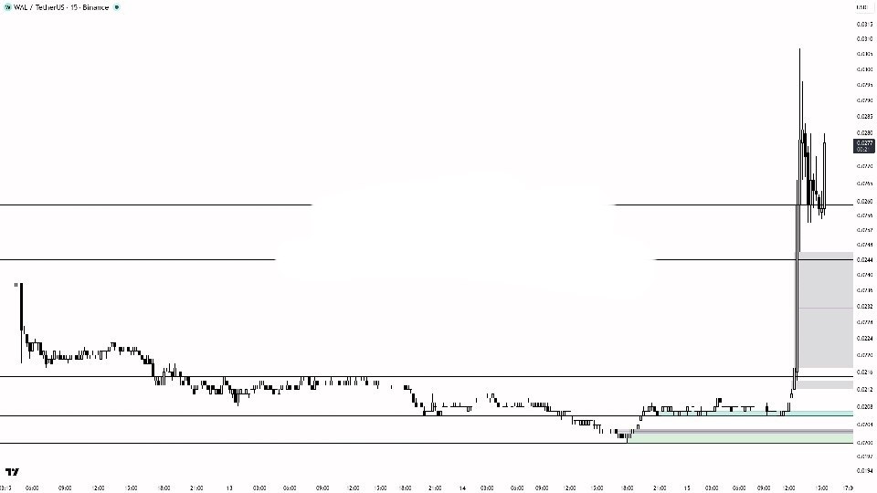 WALUSDT LONG signal screenshot by Binance Spot & FutuRes Signals 🐋