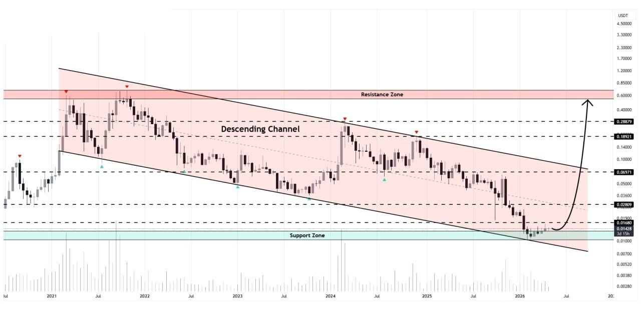 Скриншот сигнала COTIUSDT LONG от Binance Spot & FutuRes Signals 🐋