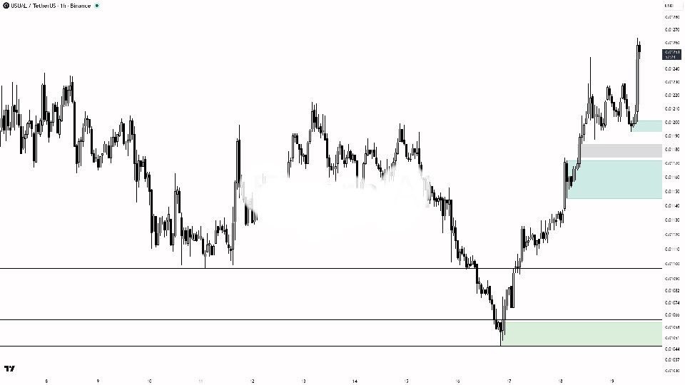 اسکرین‌شات سیگنال USUALUSDT LONG از Binance Spot & FutuRes Signals 🐋