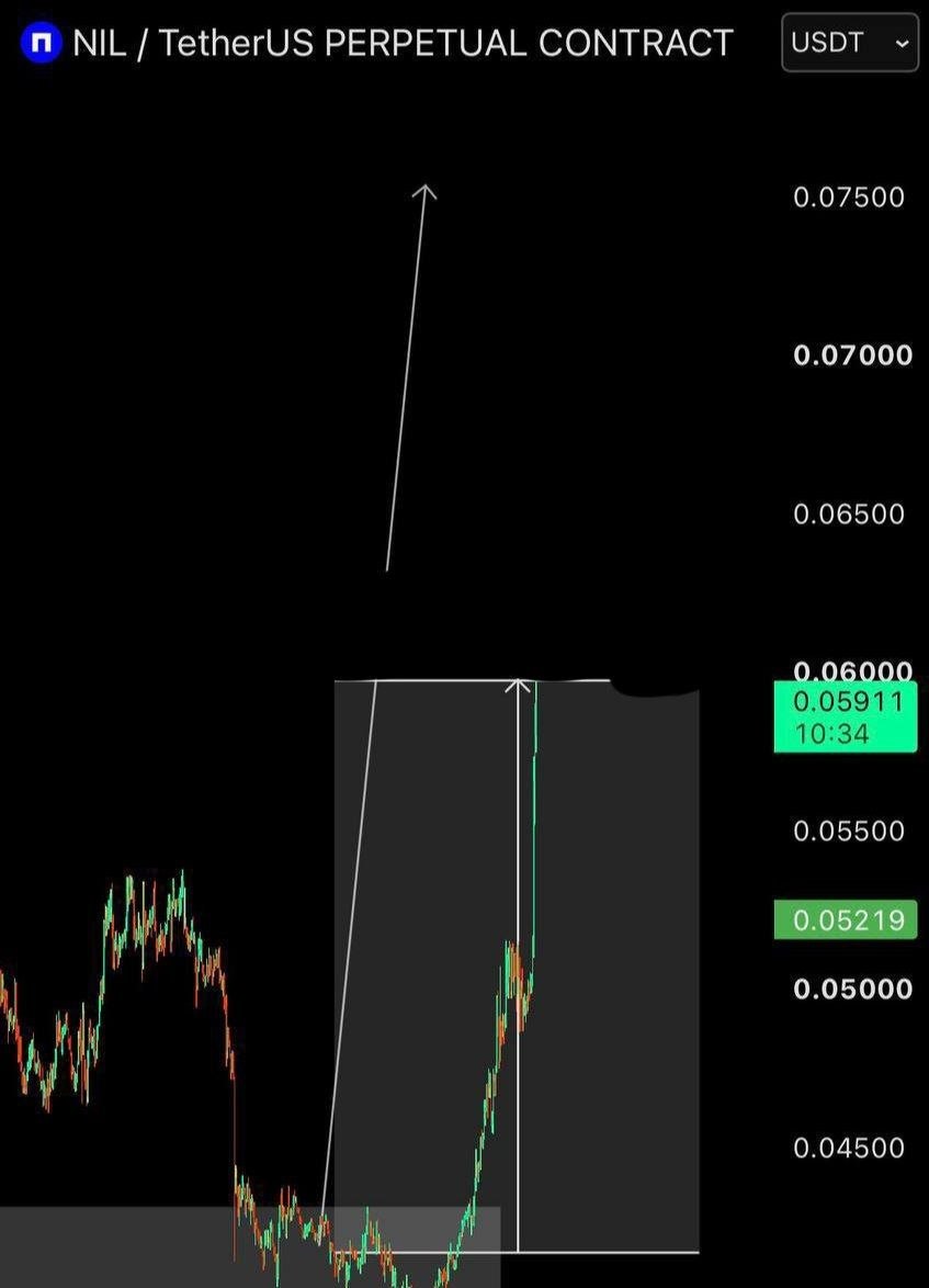 اسکرین‌شات سیگنال NILUSDT LONG از Binance Spot & FutuRes Signals 🐋