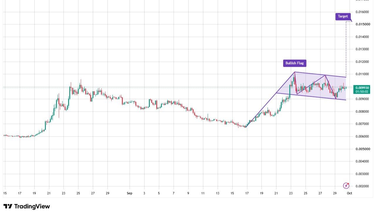 PENGUUSDT LONG signal screenshot by Binance Spot & FutuRes Signals 🐋