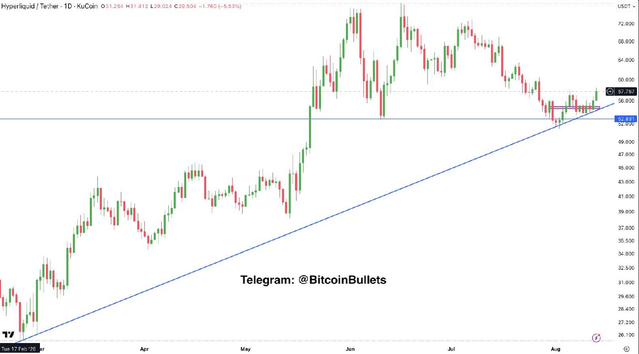 HYPEUSDT — график из оригинального поста Bitcoin Bullets®