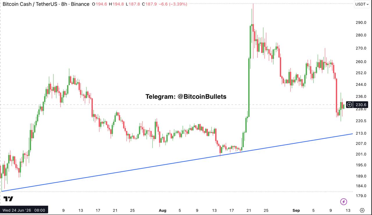 BCHUSDT — chart from the original post by Bitcoin Bullets®