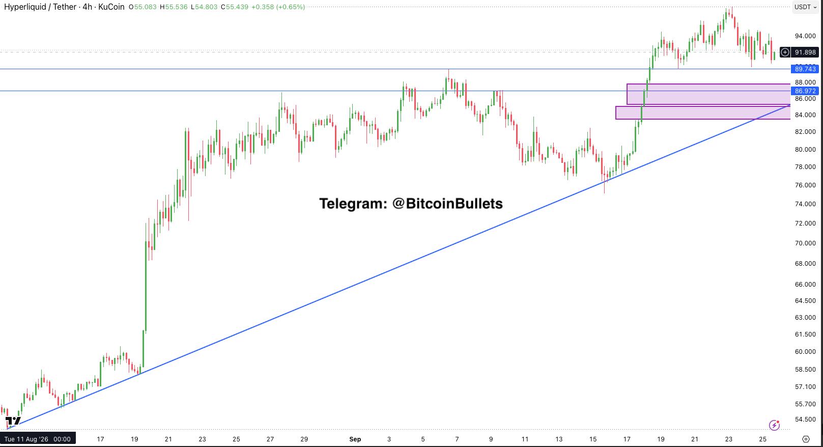 HYPEUSDT — график из оригинального поста Bitcoin Bullets®