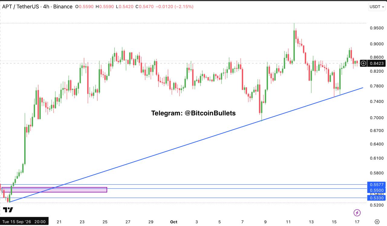 APTUSDT — chart from the original post by Bitcoin Bullets®