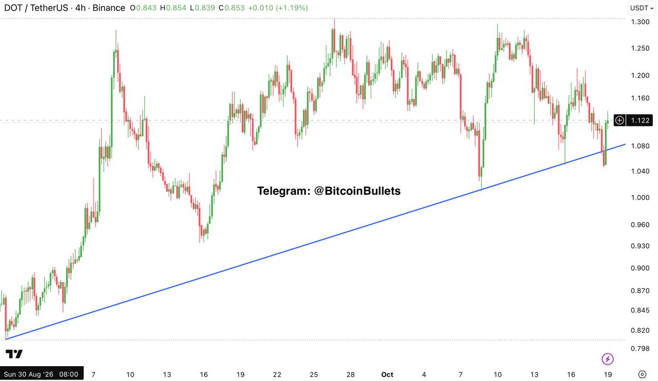 DOTUSDT — chart from the original post by Bitcoin Bullets®
