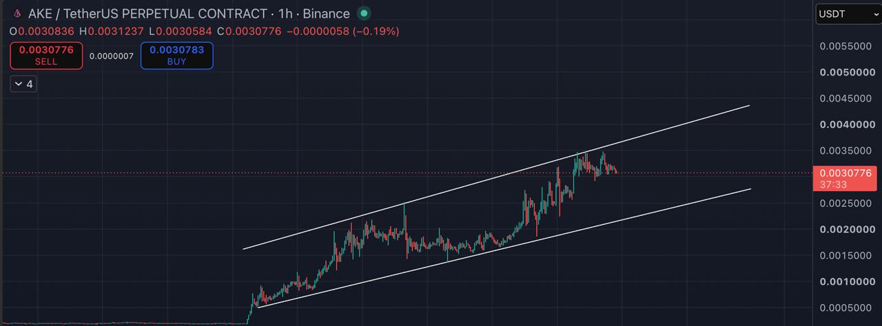 اسکرین‌شات سیگنال AKEUSDT SHORT از Blockchain Usa Official ( Binance ) 🐋