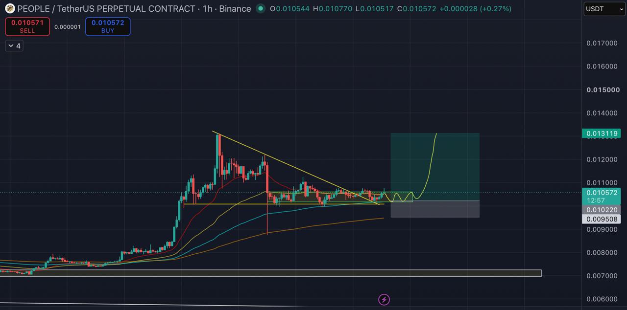 اسکرین‌شات سیگنال PEOPLEUSDT SHORT از Blockchain Usa Official ( Binance ) 🐋