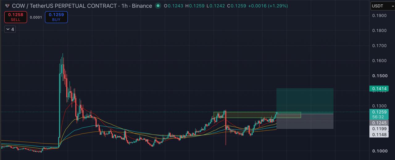 COWUSDT LONG signal screenshot by Blockchain Usa Official ( Binance ) 🐋