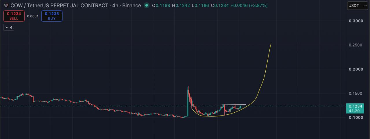 COWUSDT LONG signal screenshot by Blockchain Usa Official ( Binance ) 🐋