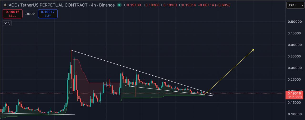 ACEUSDT LONG signal screenshot by Blockchain Usa Official ( Binance ) 🐋