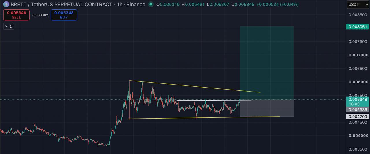 اسکرین‌شات سیگنال BRETTUSDT LONG از Blockchain Usa Official ( Binance ) 🐋