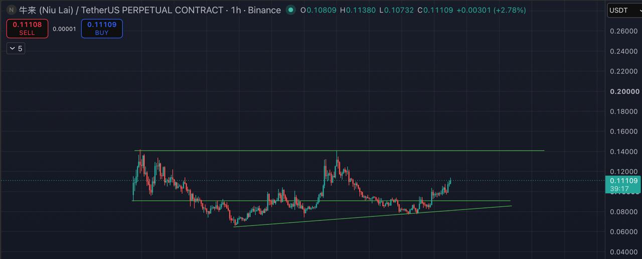 اسکرین‌شات سیگنال NIULAIUSDT LONG از Blockchain Usa Official ( Binance ) 🐋