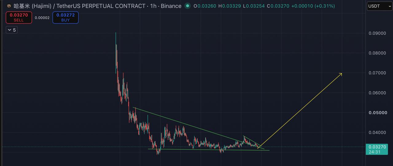 اسکرین‌شات سیگنال HAJIMIUSDT LONG از Blockchain Usa Official ( Binance ) 🐋