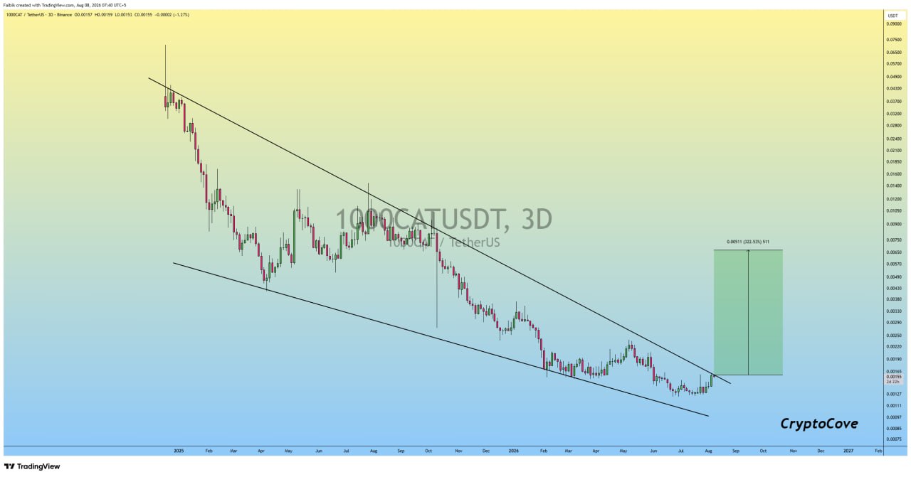 1000CATUSDT LONG signal screenshot by Crypto Cove
