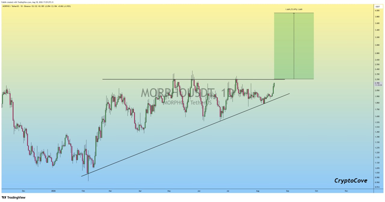 MORPHOUSDT LONG signal screenshot by Crypto Cove
