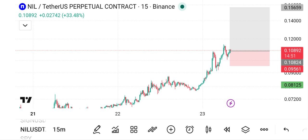 اسکرین‌شات سیگنال NILUSDT LONG از The Crypto Ghost 👻