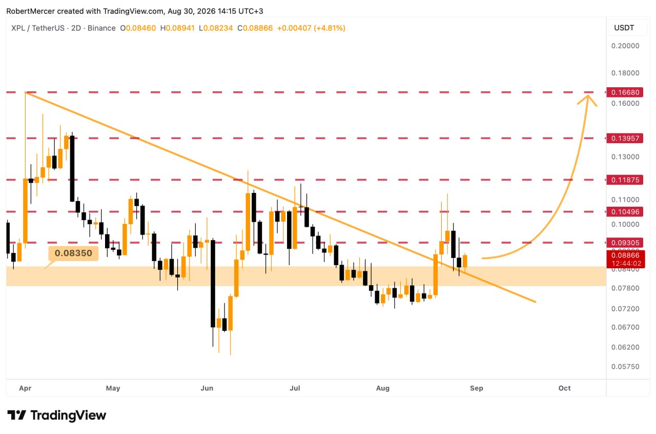 XPLUSDT LONG signal screenshot by Klondike (Crypto Rush) ⚠️