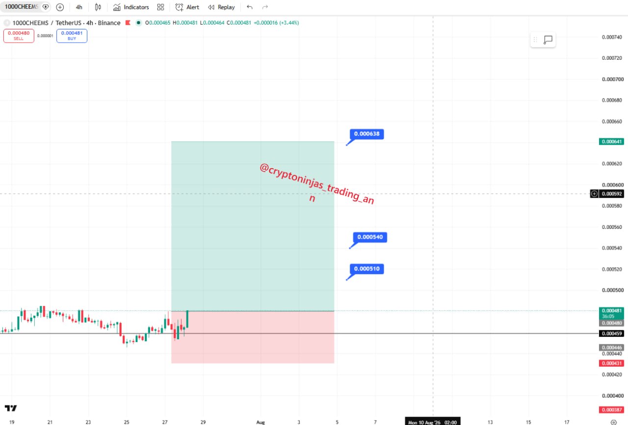 اسکرین‌شات سیگنال 1000CHEEMSUSDT LONG از Crypto Ninjas Trading 🥷🏿