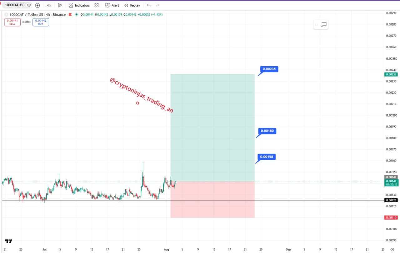 Скриншот сигнала 1000CATUSDT LONG от Crypto Ninjas Trading 🥷🏿
