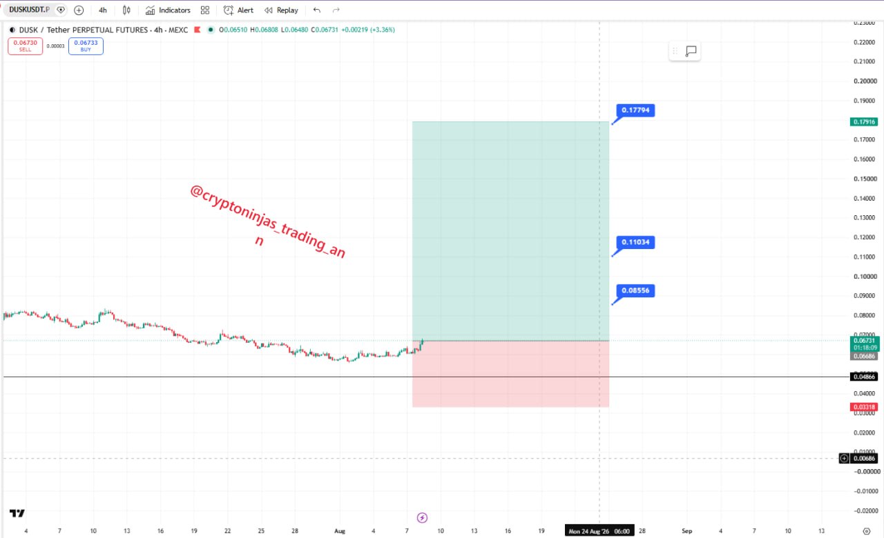 اسکرین‌شات سیگنال DUSKUSDT LONG از Crypto Ninjas Trading 🥷🏿