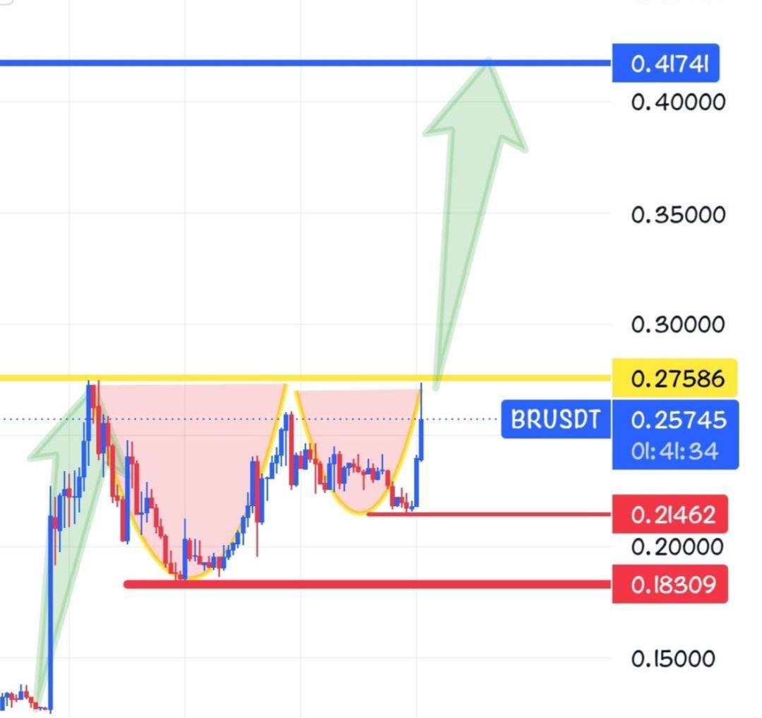 BRUSDT LONG signal screenshot by Crypto Persian Gulf