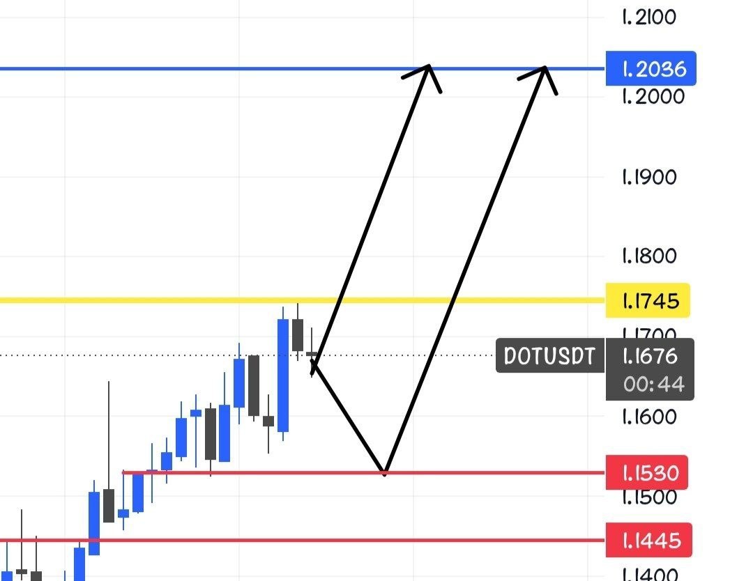 DOTUSDT LONG signal screenshot by Crypto Persian Gulf