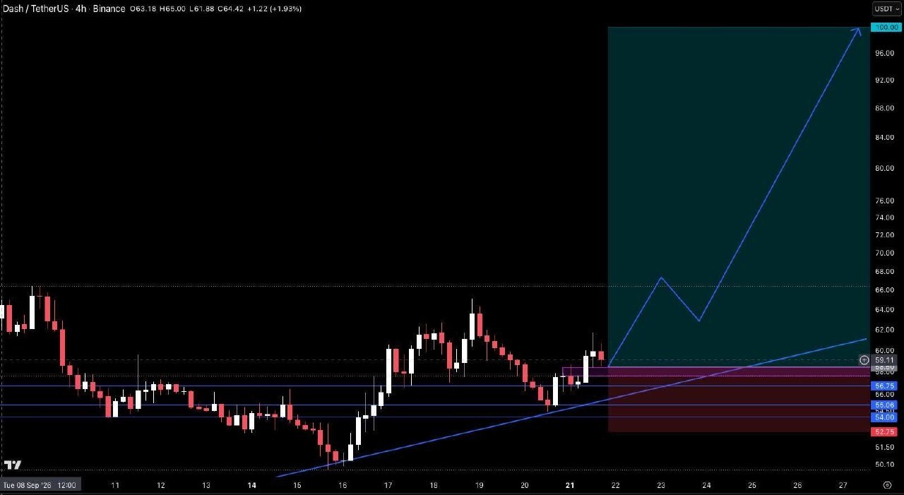 DASHUSDT LONG signal screenshot by Crypto Pirates Channel ®️