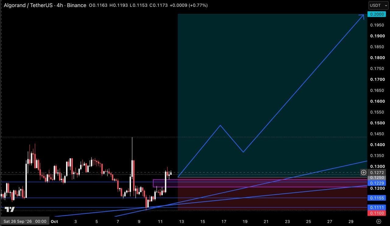 ALGOUSDT LONG signal screenshot by Crypto Pirates Channel ®️