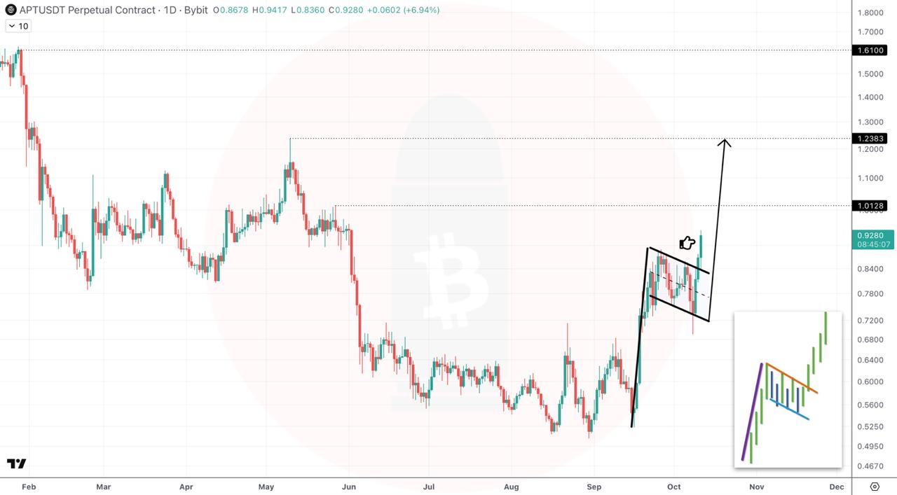 APTUSDT LONG signal screenshot by CryptoBullet