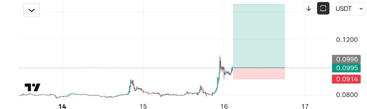 SYNUSDT LONG signal screenshot by Crypto NewYork