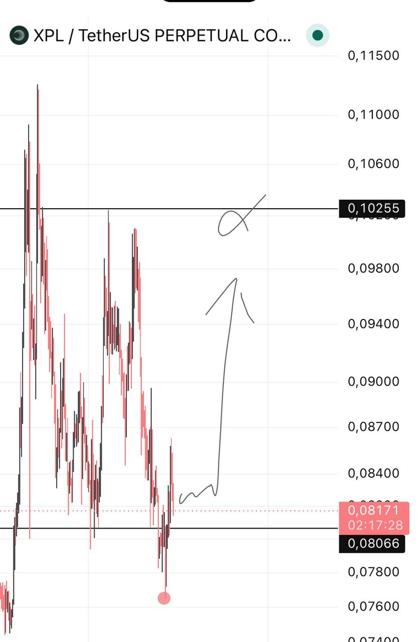 Скриншот сигнала XPLUSDT LONG от Crypto Troia