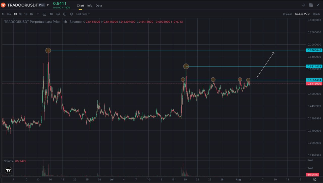 Скриншот сигнала TRADOORUSDT LONG от Trader signals RU