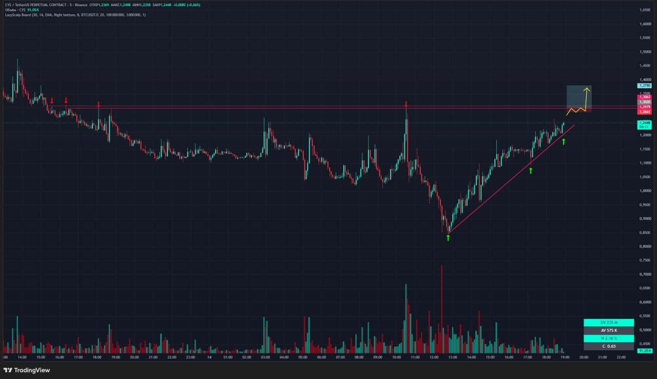 CYSUSDT LONG signal screenshot by Trader signals RU