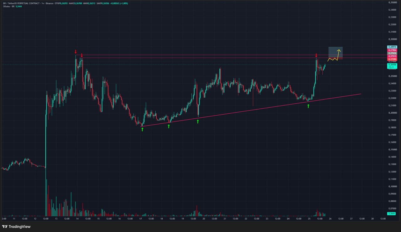 BRUSDT LONG signal screenshot by Trader signals RU