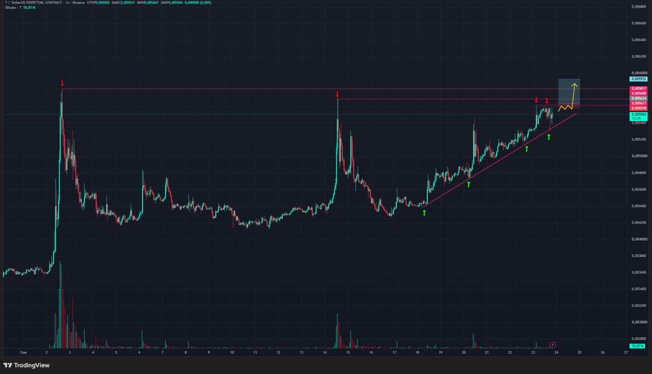 اسکرین‌شات سیگنال TUSDT LONG از Trader signals RU
